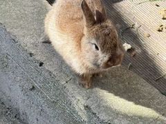 -昆明动物园