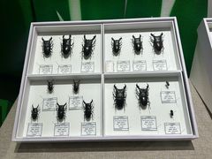 -烟台市博物馆