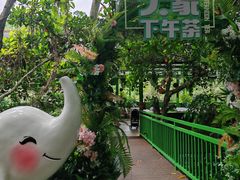 -野象谷景区