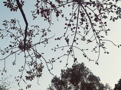 -晓港公园
