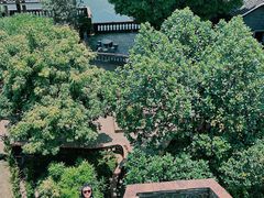 -东莞市可园博物馆