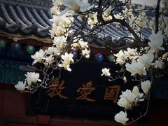 -万寿八仙宫