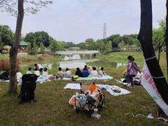 -王借岗森林公园