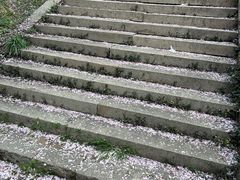 -苏州上方山国家森林公园