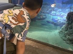 -湖南省地质博物馆