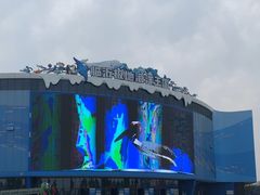 -临沂极地海洋王国