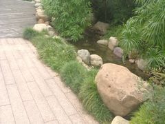 -活水公园