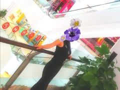-高志大厦