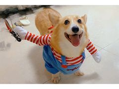 -铭果屋·铜锣烧专卖店(南京创始店)