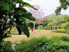 -四海公园(南山区)