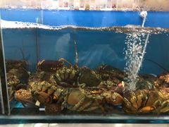 -港畔赶海蒸汽海鲜烧烤自助(仙螺岛店)