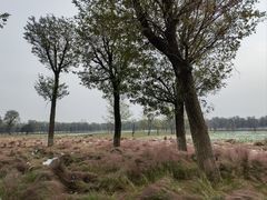 -汉长安城未央宫国家考古遗址公园