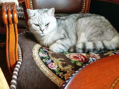 -不舍昼夜咖啡馆