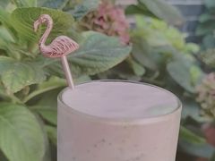 -IFIF 如果花園(宽厚里店)
