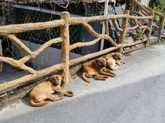 -高荡千年布依古寨旅游景区