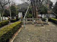 -上海佘山国家森林公园天马山园