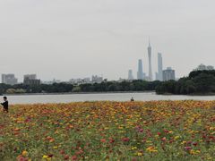 -海珠湖公园