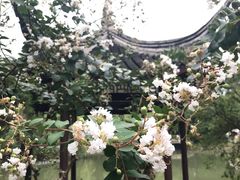 -瀛洲公园