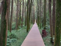 -同里国家湿地公园