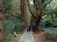 -同里国家湿地公园