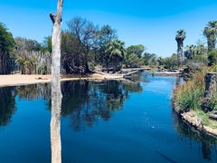 -威勒比开放式动物园