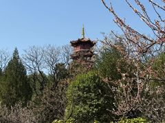 -云龙湖旅游景区