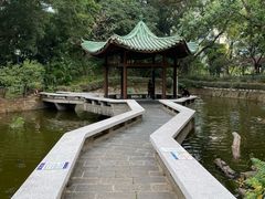 -九龙公园