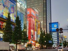 -秋叶原电器街