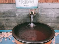 -固安来康郡来康温泉