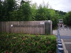 -都江堰中华大熊猫苑