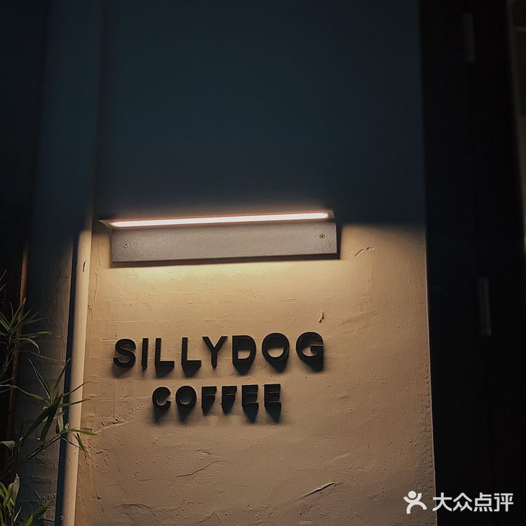 广州日式庭院风的Silly Dog，侘寂风拉满 