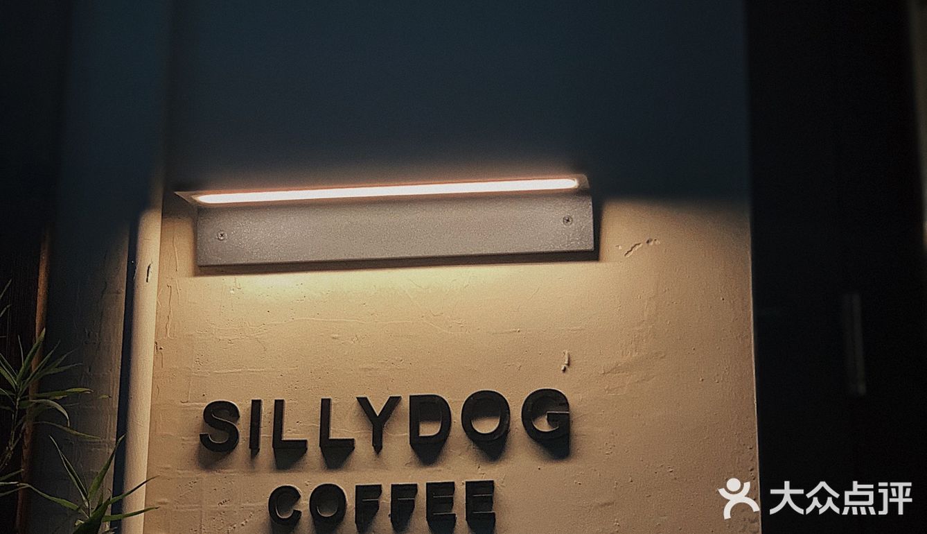 广州日式庭院风的Silly Dog，侘寂风拉满 