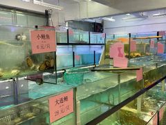 -联邦酒楼