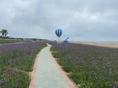 -渔岛海洋度假区