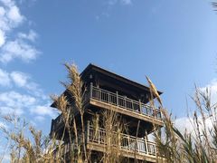 -漩门湾国家湿地公园