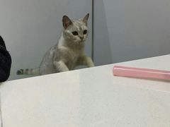 -惠康宠物医院(华能路店)