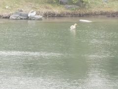 -上海怡沁园度假酒店
