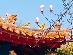 -碑林公园