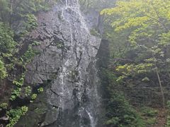 -本溪汤沟绿石谷森林公园