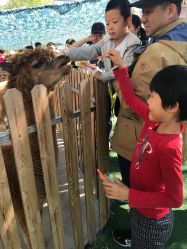 -萌宠亲子动物乐园(槐房万达店)