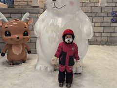 -长沙湘江欢乐雪域