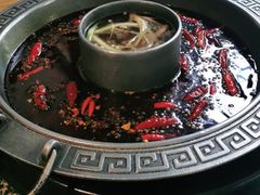-杨肥肠火锅大排档(火车站花园店)