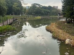 -映月湖公园