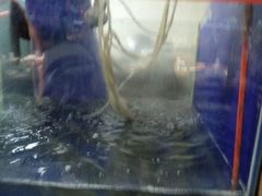 -齐祺渔锅(文苑路店)