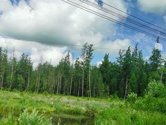 -汉拿山温泉度假酒店