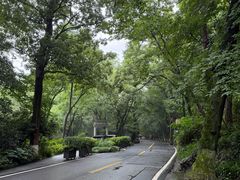 -龙井壹号·茶缘山景宴(龙井村店)