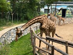 -北京野生动物园