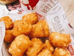 薯条-The Habit Burger Grill 哈比特汉堡(爱琴海店)