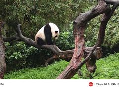 -广州长隆野生动物世界