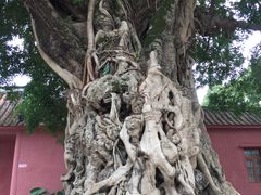 -闽粤南澳总镇府